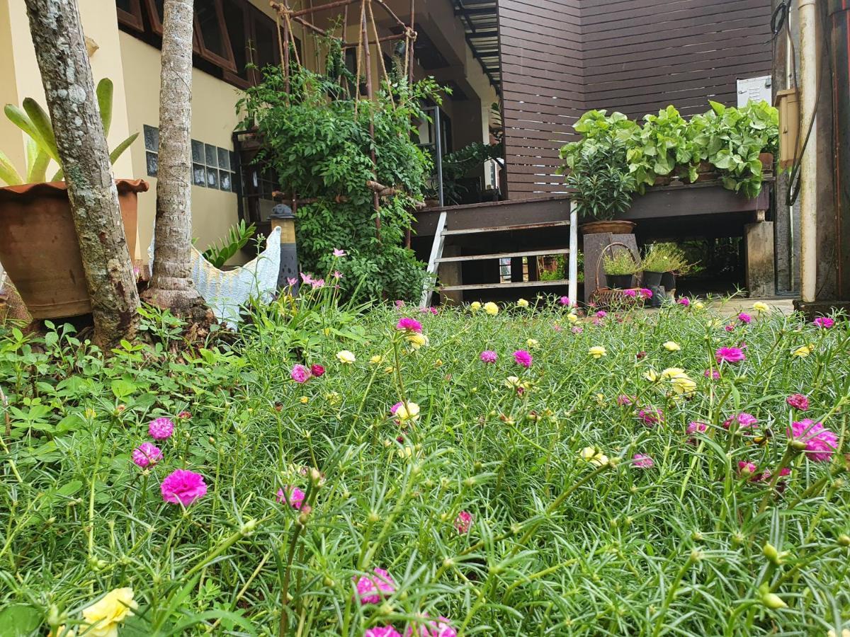 Ritzy House Hotel Chumphon Ngoại thất bức ảnh